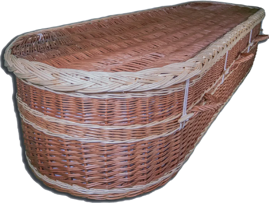 Blossom willow coffin