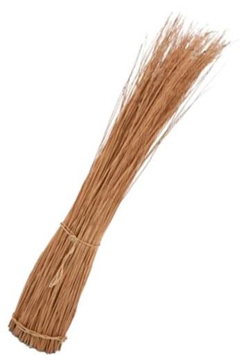 Buff willow
