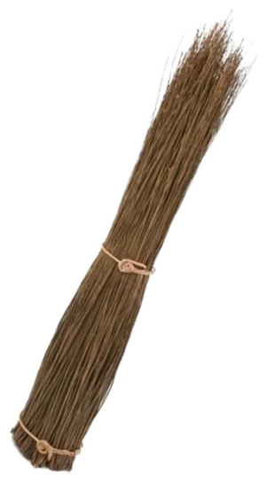 Brown willow