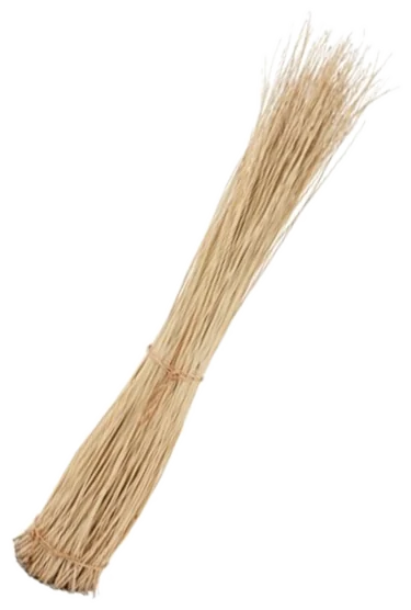 White willow