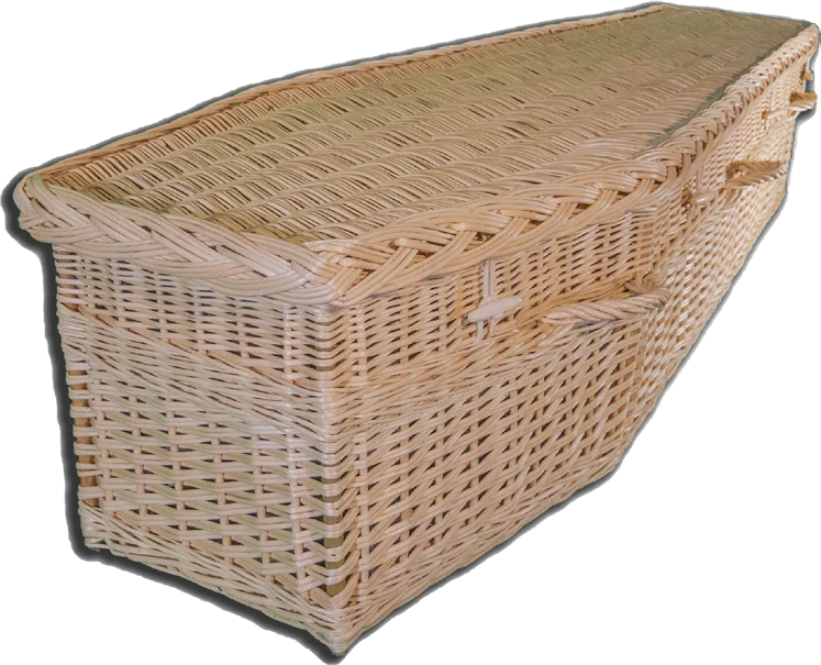 Jasmine willow coffin