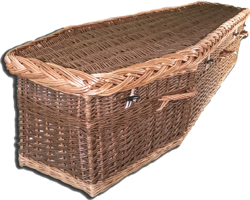 Olive willow coffin