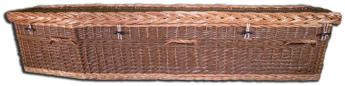 Olive willow coffin, second view
