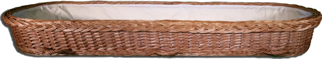 Open Coffin willow coffin, second view