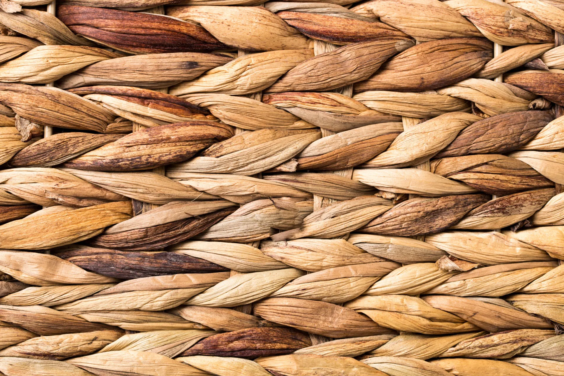 Close-up of woven willow in natural colours